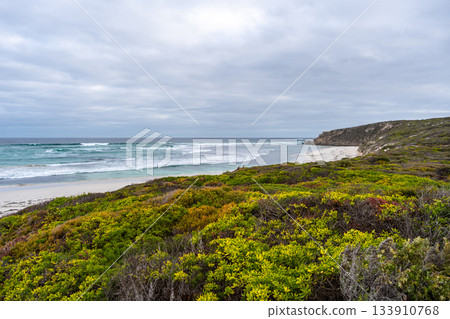 Bales Beach coastal landscape at Seal Bay Conservation Park, Australia 133910768