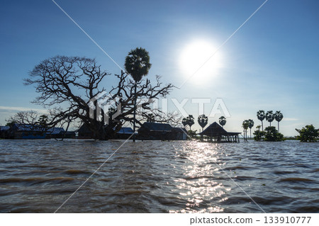 Traditional floating houses of Bujis fishermen on Lake Tempe, Indonesia 133910777