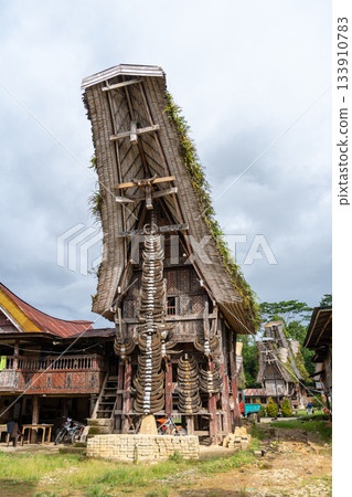 Traditional Tongkonan Toraja house, Sulawesi, Indonesia 133910783