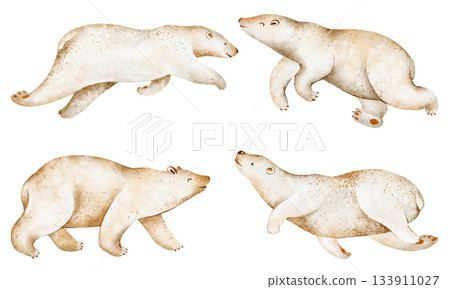 Polar bear illustration set in watercolor. Includes walking and swimming poses. Isolated animal on white background, hand-drawn, cartoon, artistic elements. 133911027