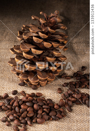 Artistic arrangement of pine cone and pine nuts on a textured burlap napkin 133911436