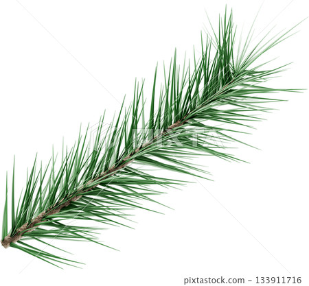3D Realistic Evergreen Pine Tree Branch with Green Needles for Christmas Decoration 133911716