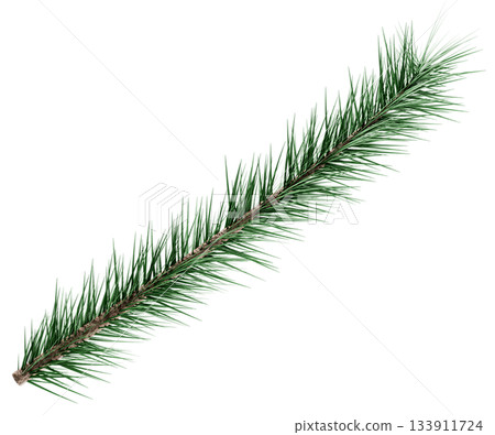 3D Realistic Evergreen Pine Tree Branch with Green Needles for Christmas Decoration 3D Realistic Evergreen Pine Tree Branch with Green Needles for Christmas Decoration 133911724