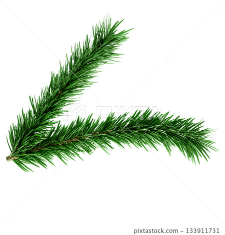 3D Realistic Evergreen Pine Tree Branch with Green Needles for Christmas Decoration 3D Realistic Evergreen Pine Tree Branch with Green Needles for Christmas Decoration 133911731