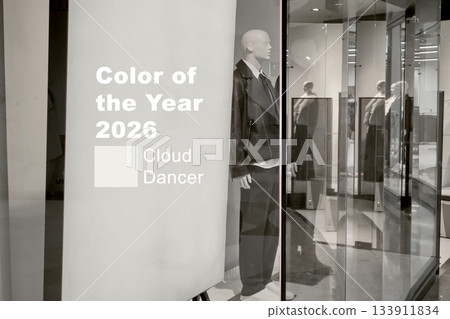 Mannequin displaying conceptual color of the year in store window Mannequin displaying conceptual color of the year in store window 133911834