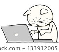 一幅對電腦不熟悉的貓的插圖 133912005