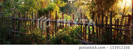A rustic bamboo fence encloses a neat vegetable garden, capturing the warm, gentle glow of the golden hour. Lush greenery and vibrant vegetables thrive within the tranquil setting, banner A rustic bamboo fence encloses a neat vegetable garden, capturing the warm, gentle glow of the golden hour. Lush greenery and vibrant vegetables thrive within the tranquil setting, banner 133912108