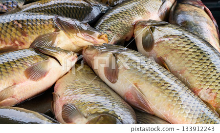 Ready to cook.Fresh river fish crucian carp on a counter at the market 133912243