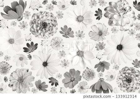 Demonstrating the colors of 2026 - Cloud Dancer. Background of flowers cosmos, dahlias, osteospermum and marigolds. Floral Greeting card. Demonstrating the colors of 2026 - Cloud Dancer. Background of flowers cosmos, dahlias, osteospermum and marigolds. Floral Greeting card. 133912314