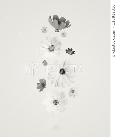 Demonstrating the colors of 2026 - Cloud Dancer. Background of flowers cosmos, dahlias, osteospermum and marigolds. Floral Greeting card. Demonstrating the colors of 2026 - Cloud Dancer. Background of flowers cosmos, dahlias, osteospermum and marigolds. Floral Greeting card. 133912316