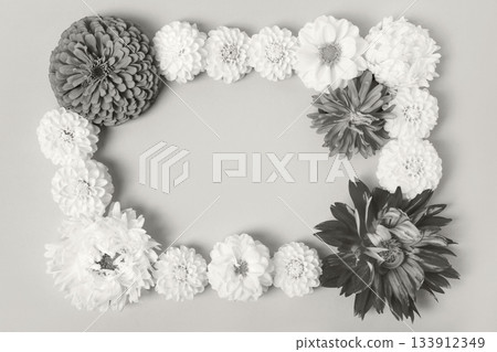 Demonstrating the colors of 2026 - Cloud Dancer. Flower background of flowers asters, dahlias, zinnia. Floral Greeting card. Nature trendy decorative design. Nature concept. Flat lay. 133912349