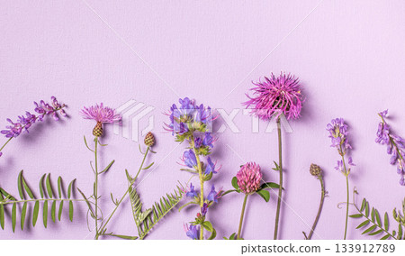 A vibrant row of bright wildflowers against a soft pastel background 133912789