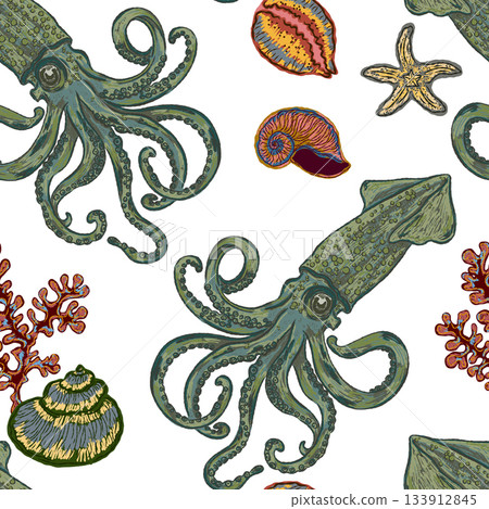 vector illustration of octopus vector illustration of octopus 133912845