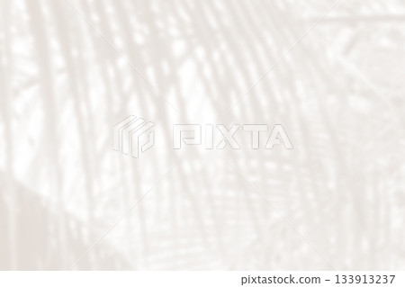 Cloud dancer color palm leaf blur. Monocrome texture 2026. Color of the year. Cloud dancer color palm leaf blur. Monocrome texture 2026. Color of the year. 133913237