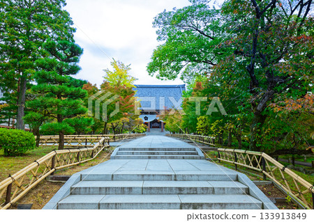 Chishaku-in Temple Head Temple: The approach to the main hall of Chishaku-in Temple and autumn leaves 133913849