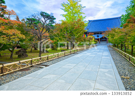 智尺院本院:通往智尺院正殿的道路和秋葉 智尺院本院:通往智尺院正殿的道路和秋葉 133913852