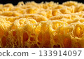 Close-up of a Yellow Natural Sea Sponge 133914097