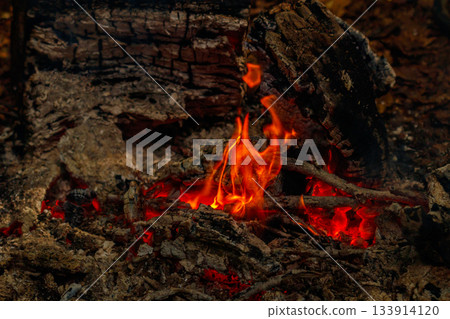 texture flame from burning logs at night 133914120