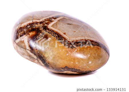 Macro mineral stone Simbirzit and Septaria on white background 133914131