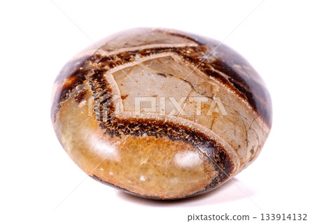Macro mineral stone Simbirzit and Septaria on white background Macro mineral stone Simbirzit and Septaria on white background 133914132