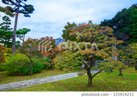 智尺院本院：通往智尺院的道路和秋葉 133914231