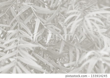 Cloud dancer color leaf texture, nature monochrome background. Color of the year 2026 Cloud dancer color leaf texture, nature monochrome background. Color of the year 2026 133914245