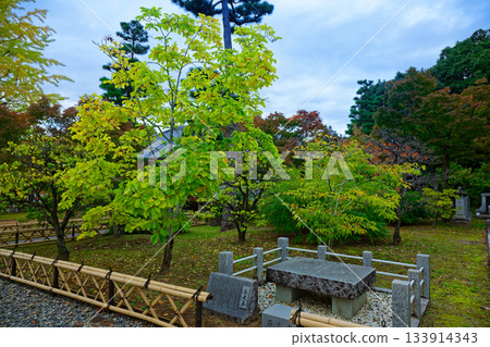 Chishaku-in Temple Head Temple: The approach to Chishaku-in Temple and autumn leaves Chishaku-in Temple Head Temple: The approach to Chishaku-in Temple and autumn leaves 133914343
