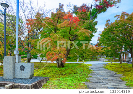 Autumn leaves in the grounds of Chishaku-in Temple, the head temple Autumn leaves in the grounds of Chishaku-in Temple, the head temple 133914519
