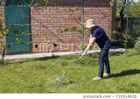 An older woman wearing straw hat rakes the green grass in her backyard using a garden rake. Lawn health in spring. An older woman wearing straw hat rakes the green grass in her backyard using a garden rake. Lawn health in spring. 133914628