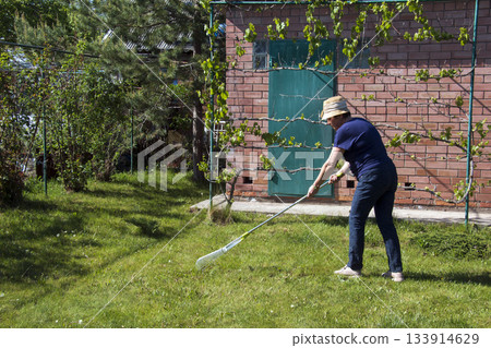 An older woman wearing a straw hat rakes green grass in her backyard using a garden rake. Lawn health in spring. 133914629