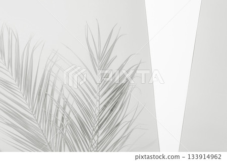 Palm branches casting shadow on white background. Color of 2026 year dancer in the white cloud 133914962