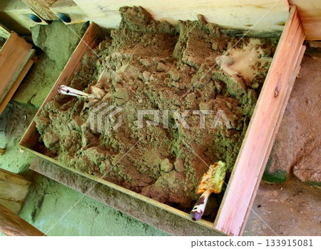 為了尋找命運的線索，我們前往八雲達津大社…在出雲大社及其分社相賀社收集沙子 133915081