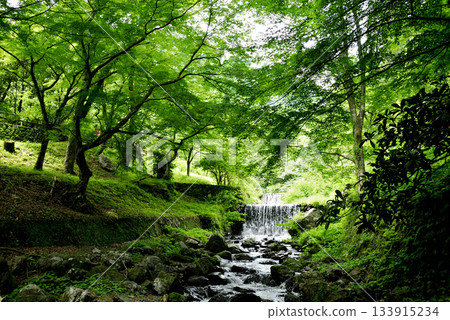 Stream water flow 133915234