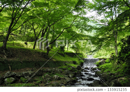 Stream water flow 133915235