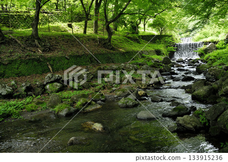 Stream water flow 133915236