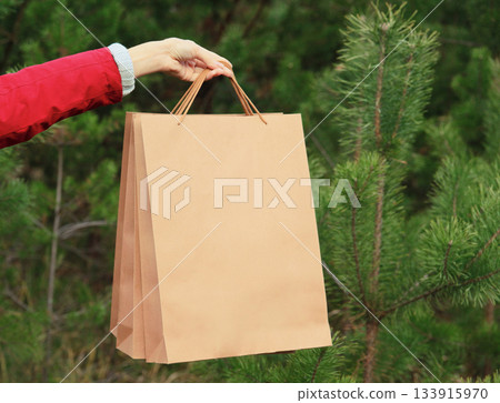 Purchase, holidays, female hand holding showing paper shopping bags, gift against christmas tree Purchase, holidays, female hand holding showing paper shopping bags, gift against christmas tree 133915970