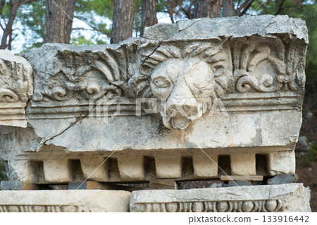 Part of the stone marble ornamentation found during the excavations of the ancient Lycian city of Phaselis. Kemer, Turkey Part of the stone marble ornamentation found during the excavations of the ancient Lycian city of Phaselis. Kemer, Turkey 133916442