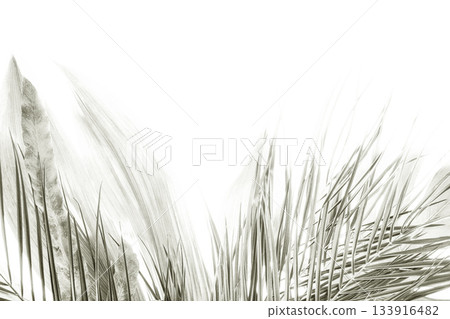 Color of 2026 year dancer in the white cloud Color of 2026 year dancer in the white cloud 133916482