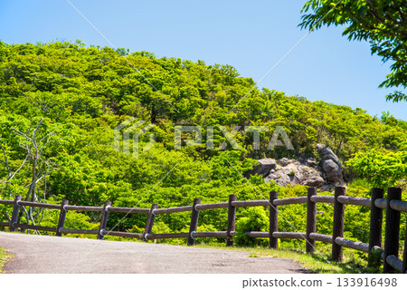 五在丈山上的蔥鬱綠意，令人心曠神怡的山景（三重縣駒野町） 133916498