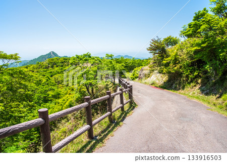 Fresh greenery on Mount Gozaisho. Refreshing mountain scenery (Komono Town, Mie Prefecture) 133916503