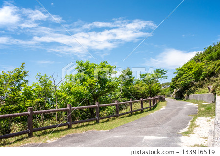 Fresh greenery on Mount Gozaisho. Refreshing mountain scenery (Komono Town, Mie Prefecture) 133916519