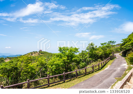 Fresh greenery on Mount Gozaisho. Refreshing mountain scenery (Komono Town, Mie Prefecture) 133916520