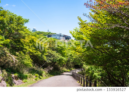 五在丈山上的蔥鬱綠意,令人心曠神怡的山景(三重縣駒野町) 五在丈山上的蔥鬱綠意,令人心曠神怡的山景(三重縣駒野町) 133916527