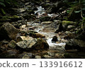 detail of a cold forest stream with a stone bottom 133916612