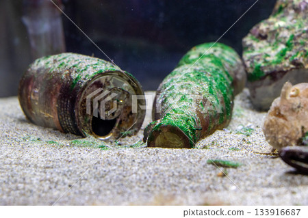 海洋垃圾圖片 133916687