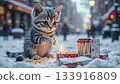The image shows a tabby kitten in the snow, lit by a match 133916809