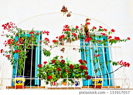 balcony, flower, plants 133917057