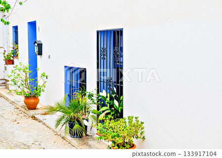 flowerpot, flower, house 133917104