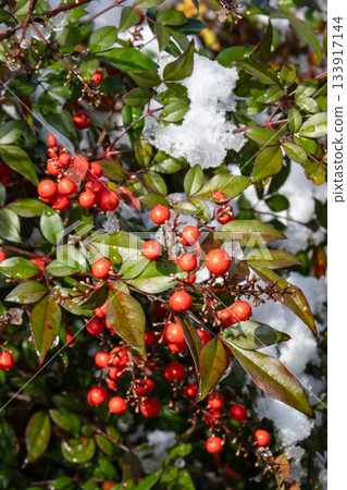與雪的南部的天空 133917144