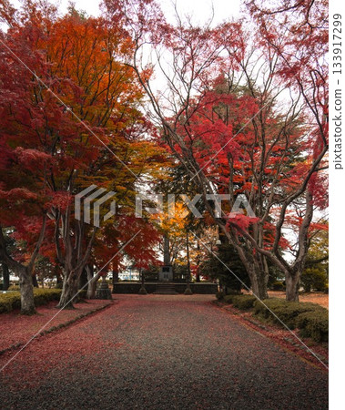 栃木縣:大山進山口的秋葉隧道 栃木縣:大山進山口的秋葉隧道 133917299